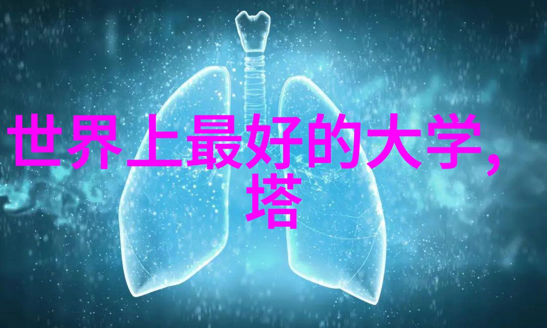 学艺精进探索美发学校的艺术与实践