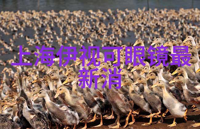 探秘发型设计价格了解不同造型的费用标准