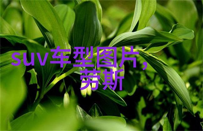 新农夫导航探索乡村美食的智慧之路