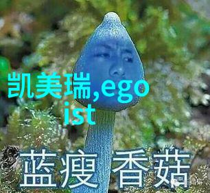 北方黑马六桂福揭秘中国珠宝的社会真相