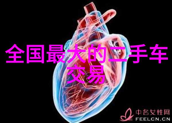 超越时空的纵横st运盛的传奇征程