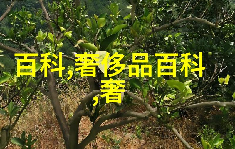 男士礼物精选高品质男士个人护理套装