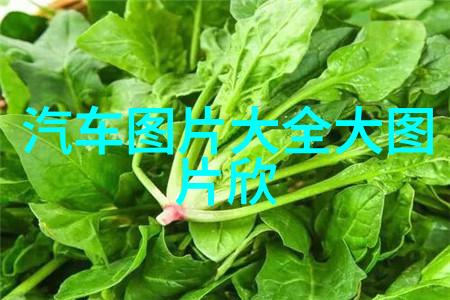 男人穿衣搭配街头巷尾的时尚小诀窍