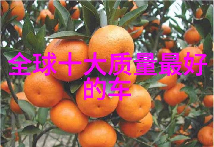2022国考今起报名 - 志存高远2022年国家公务员考试报名正式启动