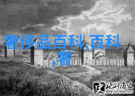 小飞机头的创意时尚潮流