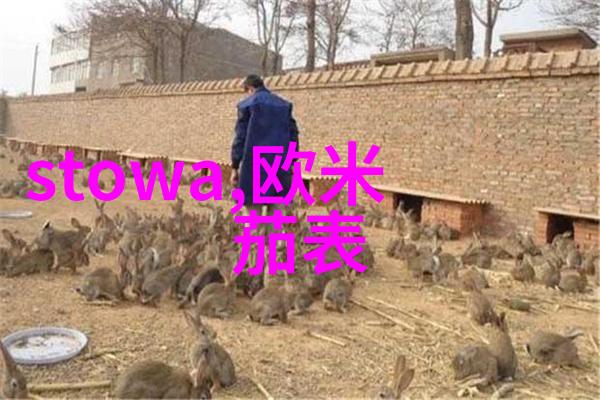 缤特力BACKBEAT 100系列无线立体声耳机数据驱动享受音乐与清晰通话的最佳组合