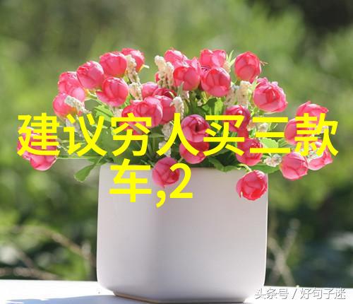 多肉宝宝带给我们的脸盲原来它们的秘密都隐藏起来了