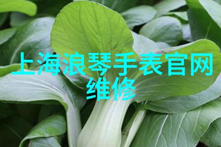 家居乐家具网购指南如何在官方网站上挑选出最佳装饰品