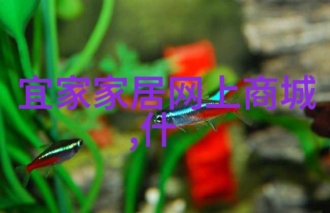 末世生存技巧天台种菜的智慧生态再造自给自足
