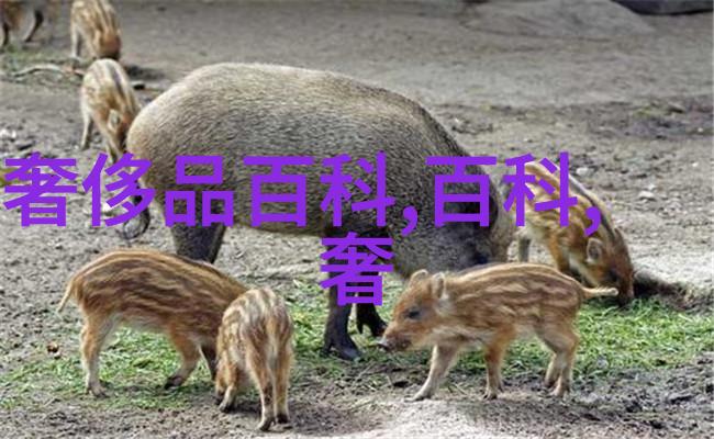 浴缸也可以大胆新奇超酷文字涂鸦形鱼缸