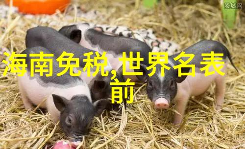 宝贝尝一口我的火腿肠看看它多好吃