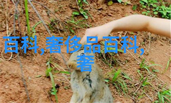 卡尔文克莱恩的智慧启航三大国之重器光耀深圳