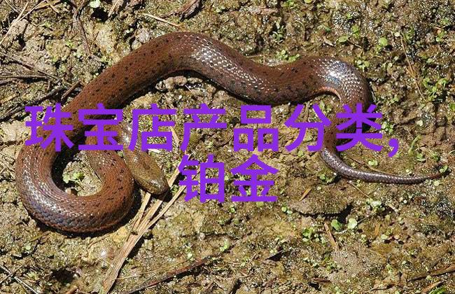 春日小物女生包包的色彩与风格