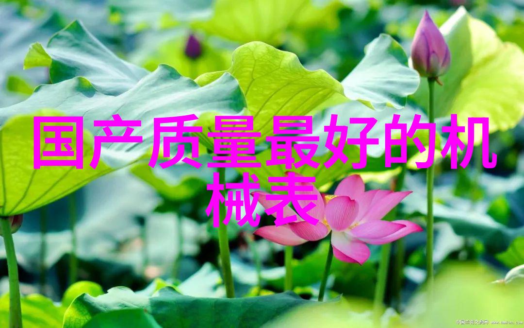 东岑西舅互相口片段东岑西舅的热闹对话