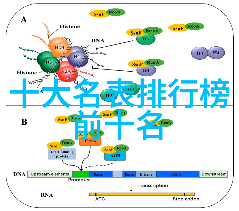 月下家具宴海丝腾助你选好伴侣