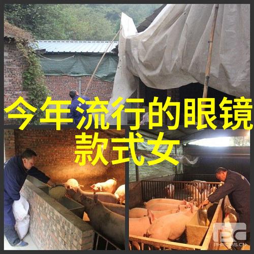 不死传说txt我的永恒之旅