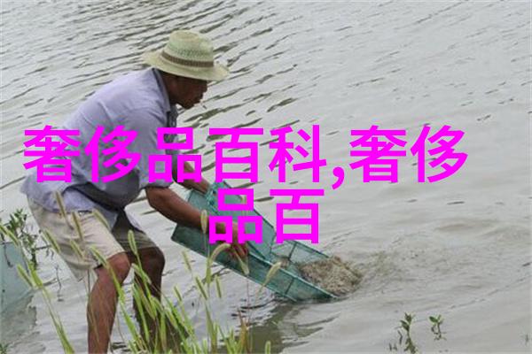 不败战神杨辰txt下载全集-传说中的强者杨辰不败的征途