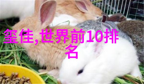 老凤祥还是中国黄金好我还记得那年夏天我爸爸带着我们去了一趟老凤祥珠宝店