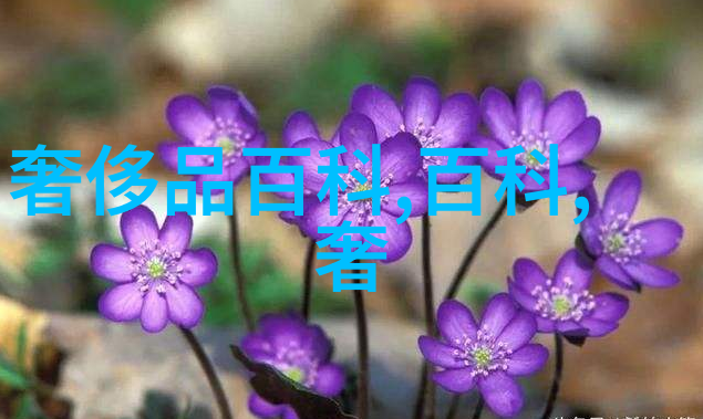 油乎乎的灶台看着很恶心教你一招用点便宜货灶台比新的还干净
