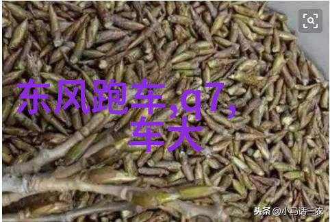 金银瓶1一5新篇章重现经典激发想象