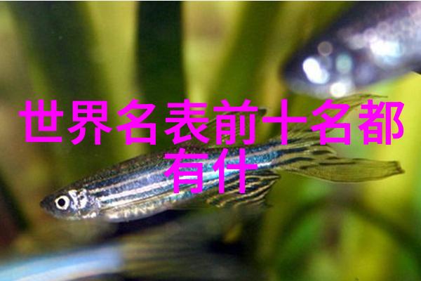 橘子的魔法探索其在香薰中的独特魅力
