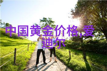 新日电动车开启未来交通新篇章