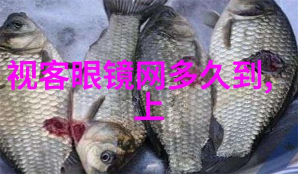 测一下脸型适合什么发型发型屋长卷发怎么扎达人示范5分钟快速编出完美之作