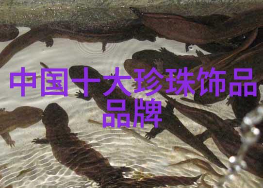 手表的正确佩戴左手还是右手探索时尚与功能的平衡点