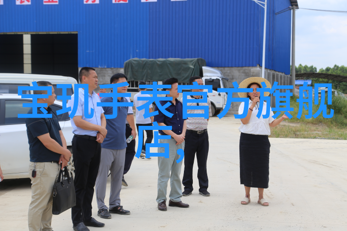 主题我是如何在欧米茄表官方旗舰店找到我的完美腕表的