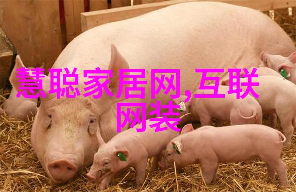 香水广告如同盛宴年末销量最高前10名的精华品种如璀璨星辰在夜空中闪耀