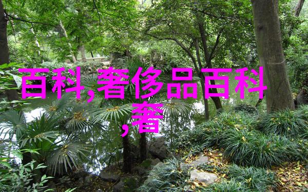 香奈儿蔚蓝男士淡香水自然中的邂逅夜店界公认第一骚的男士香水