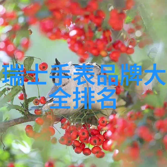 生活点滴我家这小区的ji jia趣事儿总有让人捧腹的一幕