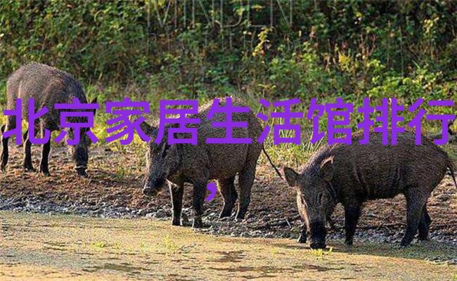 余震by肉酱意面笔趣阁都市异能恋爱小说