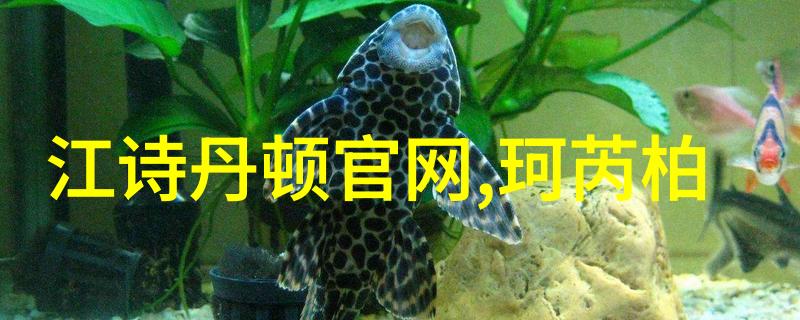 秋老虎到来男士仍可时髦抵御一件衬衫裙让他优雅出场