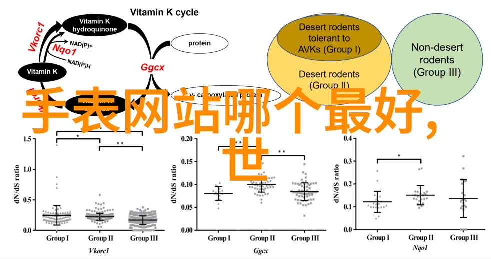 如何合理使用和存储各类芳华以延长其持久性和芬芳力