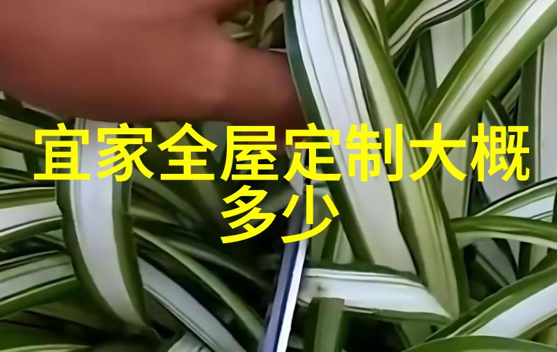 心灵的裂缝留在我体内的秘密再生