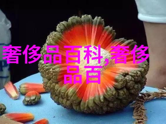 红发魔术师的传奇瓦伦蒂诺与他的无尽冒险