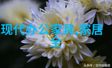 秋葵官方绿巨人应用下载攻略