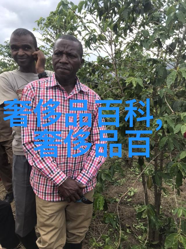 别再用玄关柜做隔断了当下流行隔断屏风美得让人无法拒绝