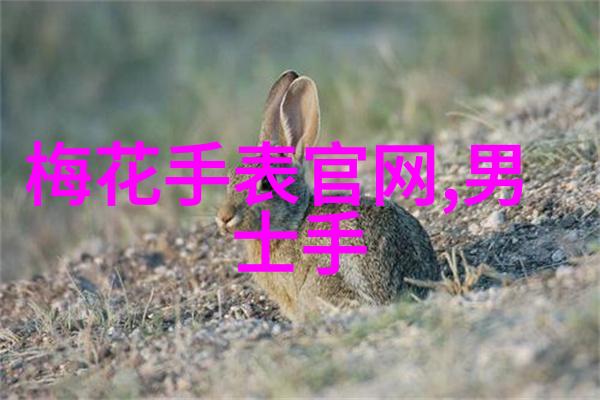 探秘非会员试看十分钟揭秘小视频行业的受众策略与商业模式