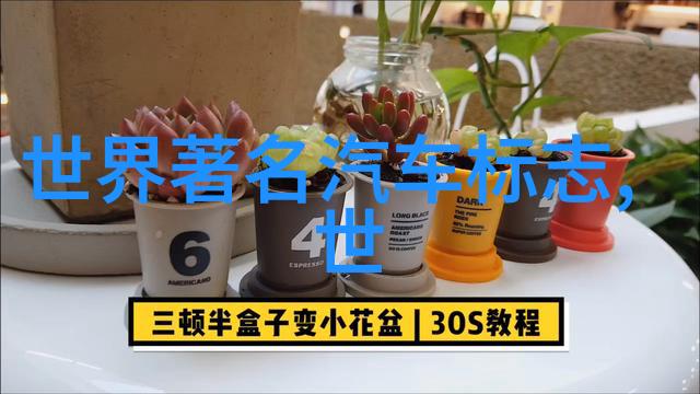男生帅气发型时尚之选与个人魅力的体现