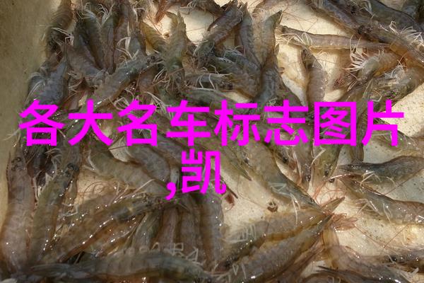 女理发师理发视频大全我来教你如何在家也能像去美容院一样漂亮