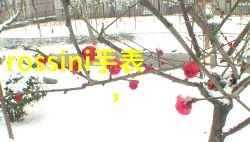 后营露营第一季无增减我是怎么在后山露营第一季的冬日里度过无人知晓的时光
