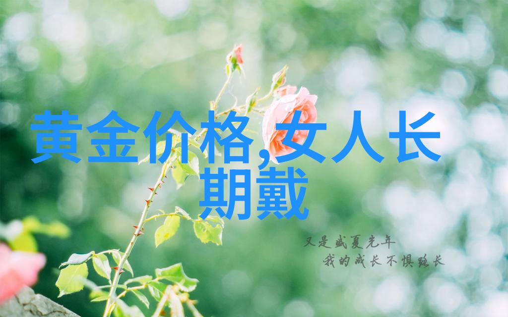从基础到高级技巧成人的完善化学习路线图解析