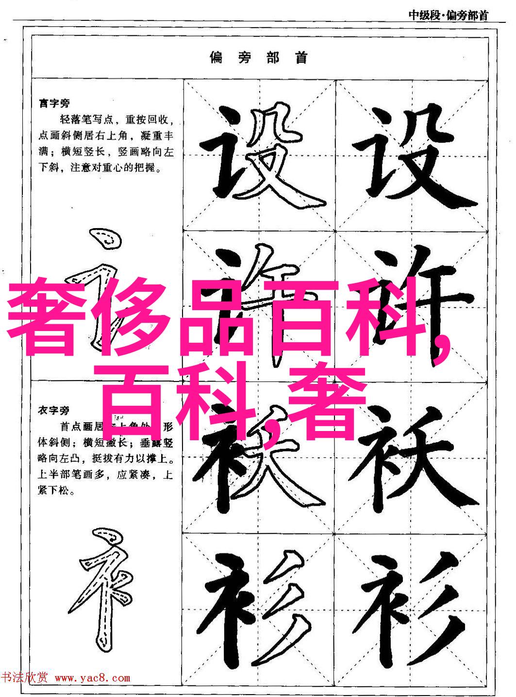 时尚短发女 - 创意剪发与风格搭配技巧