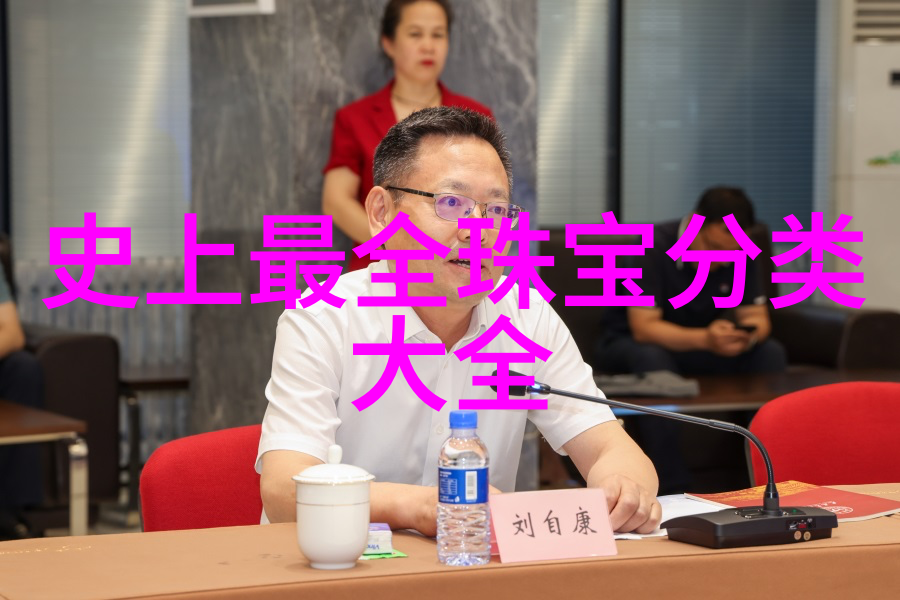 数字之谜揭秘2233b背后的技术与文化意义