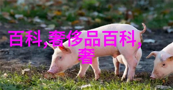 探索未来科技X系列产品2022新篇章