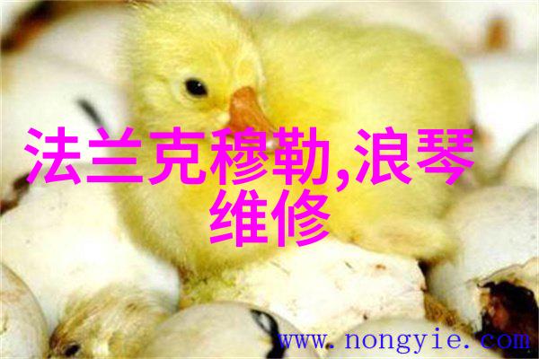 岳今晚让你玩个够肥水一体视频-丰富娱乐盛宴岳今晚带你体验肥水一体视频的乐趣