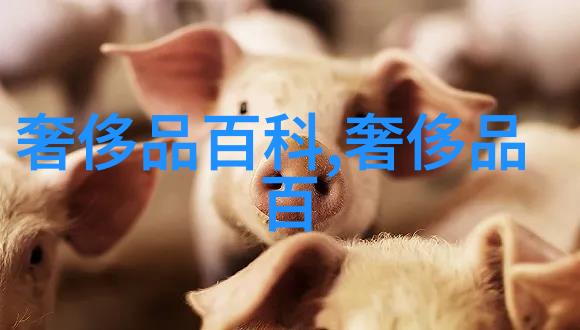 解密456uuu.com揭秘网络上的神秘数字世界
