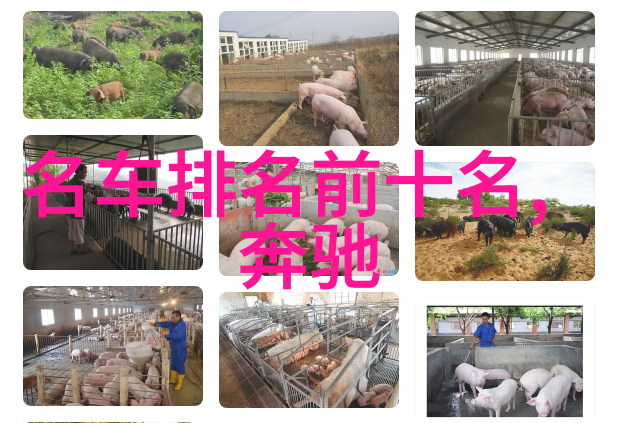 家中也能成为理发厅美发视频app的创意应用